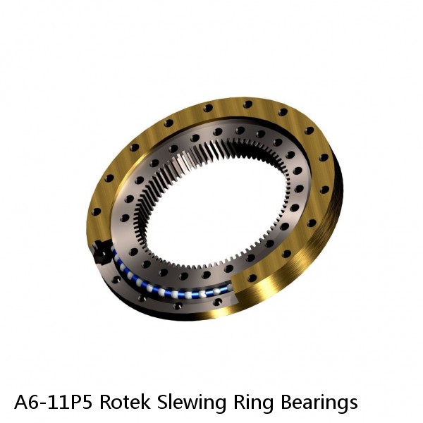 A6-11P5 Rotek Slewing Ring Bearings