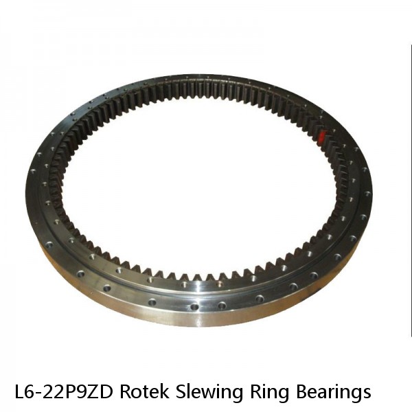 L6-22P9ZD Rotek Slewing Ring Bearings