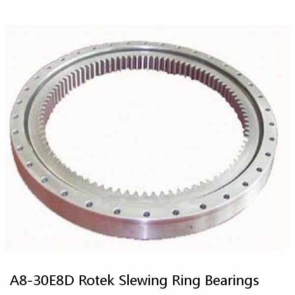 A8-30E8D Rotek Slewing Ring Bearings