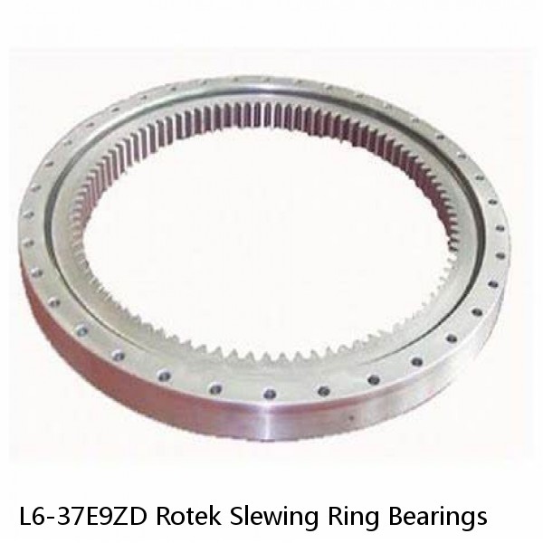 L6-37E9ZD Rotek Slewing Ring Bearings