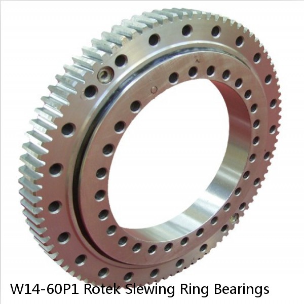 W14-60P1 Rotek Slewing Ring Bearings