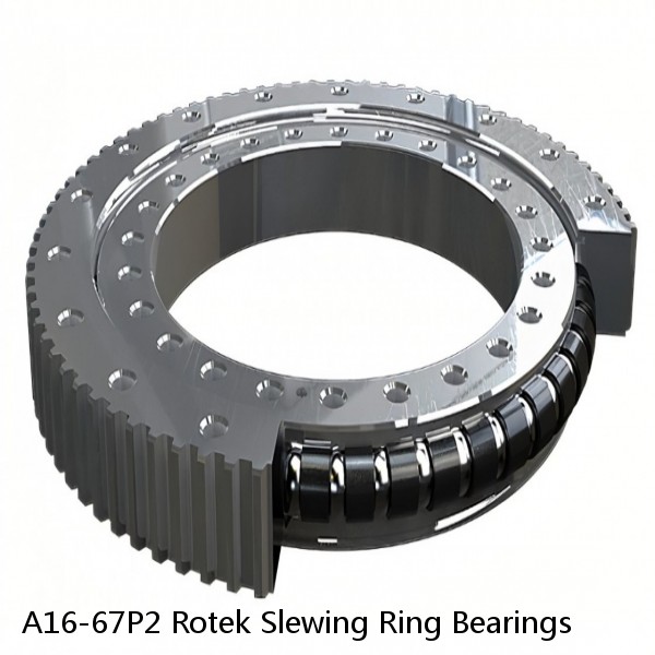 A16-67P2 Rotek Slewing Ring Bearings