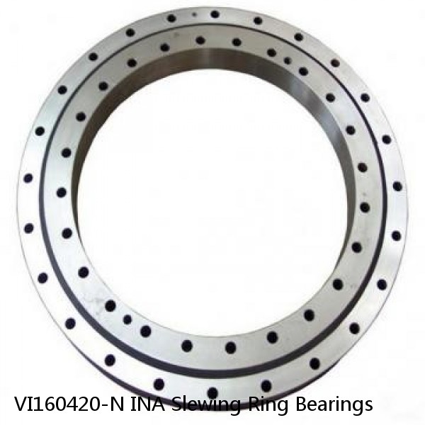 VI160420-N INA Slewing Ring Bearings