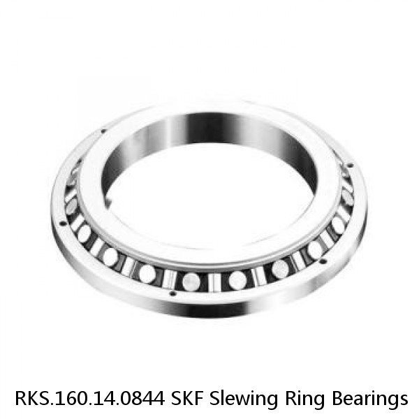 RKS.160.14.0844 SKF Slewing Ring Bearings