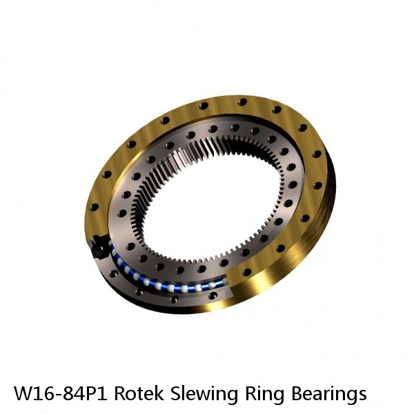 W16-84P1 Rotek Slewing Ring Bearings