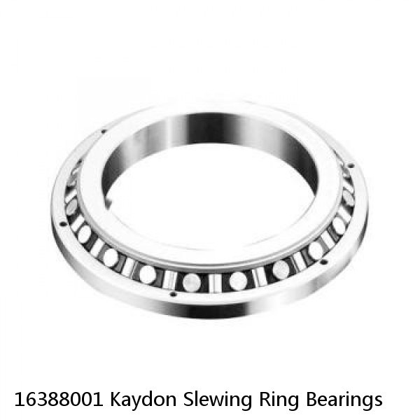 16388001 Kaydon Slewing Ring Bearings