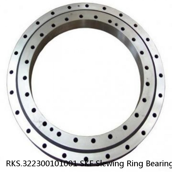 RKS.322300101001 SKF Slewing Ring Bearings