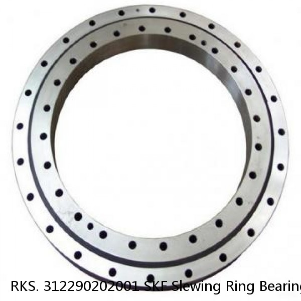 RKS. 312290202001 SKF Slewing Ring Bearings