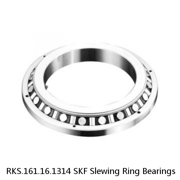 RKS.161.16.1314 SKF Slewing Ring Bearings