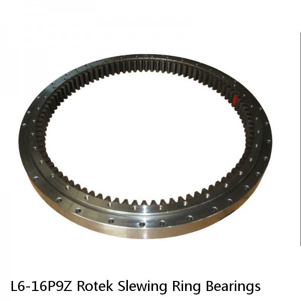 L6-16P9Z Rotek Slewing Ring Bearings