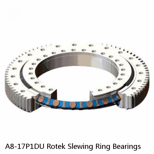 A8-17P1DU Rotek Slewing Ring Bearings