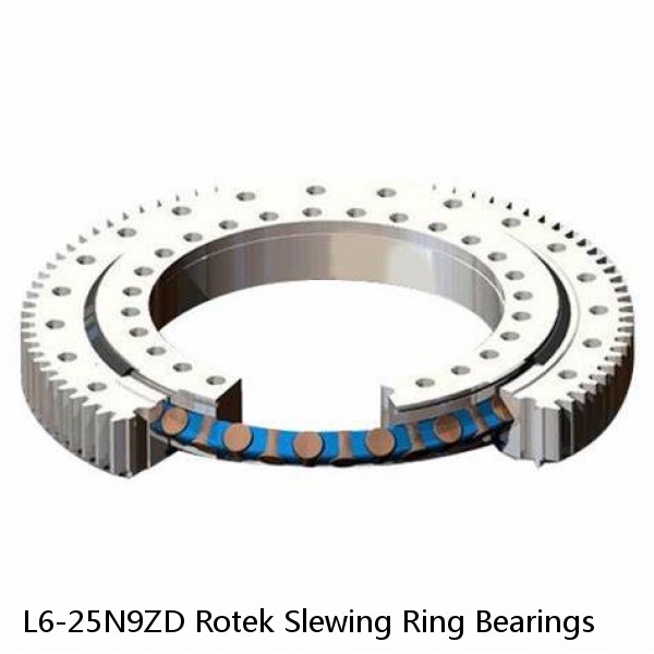 L6-25N9ZD Rotek Slewing Ring Bearings