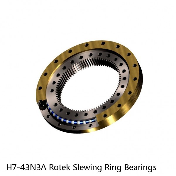 H7-43N3A Rotek Slewing Ring Bearings