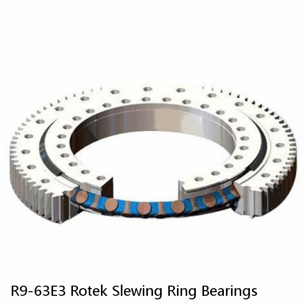 R9-63E3 Rotek Slewing Ring Bearings