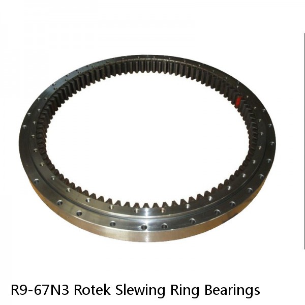 R9-67N3 Rotek Slewing Ring Bearings