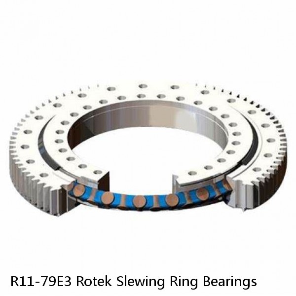 R11-79E3 Rotek Slewing Ring Bearings