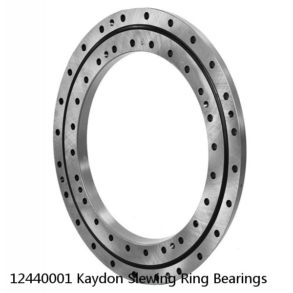 12440001 Kaydon Slewing Ring Bearings