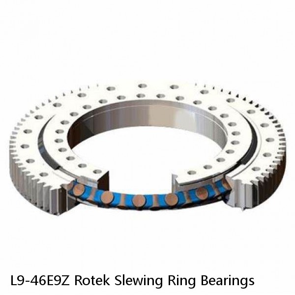 L9-46E9Z Rotek Slewing Ring Bearings