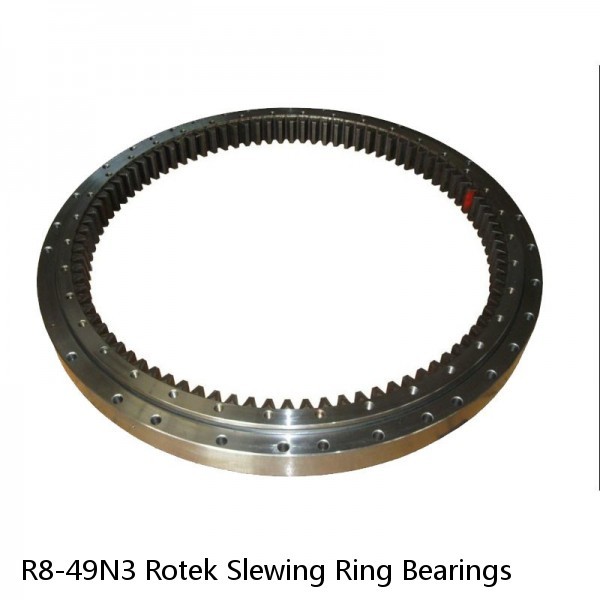 R8-49N3 Rotek Slewing Ring Bearings