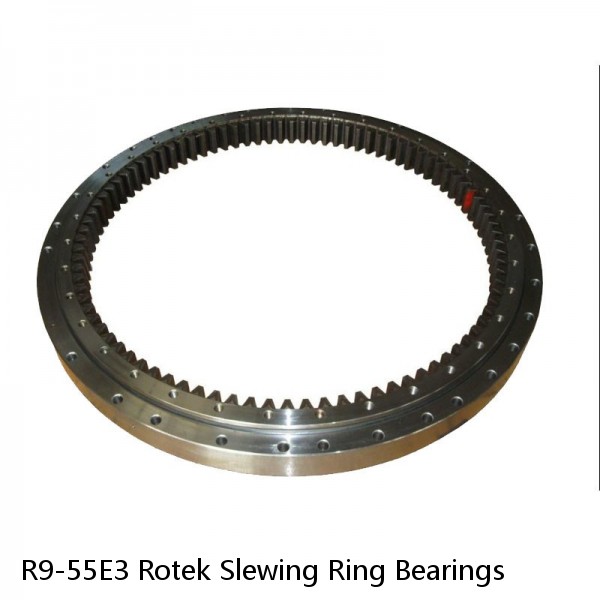 R9-55E3 Rotek Slewing Ring Bearings