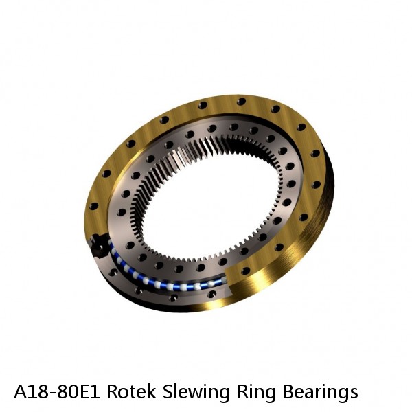 A18-80E1 Rotek Slewing Ring Bearings